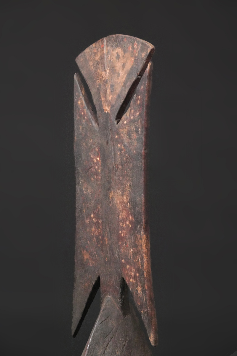 BBD008296