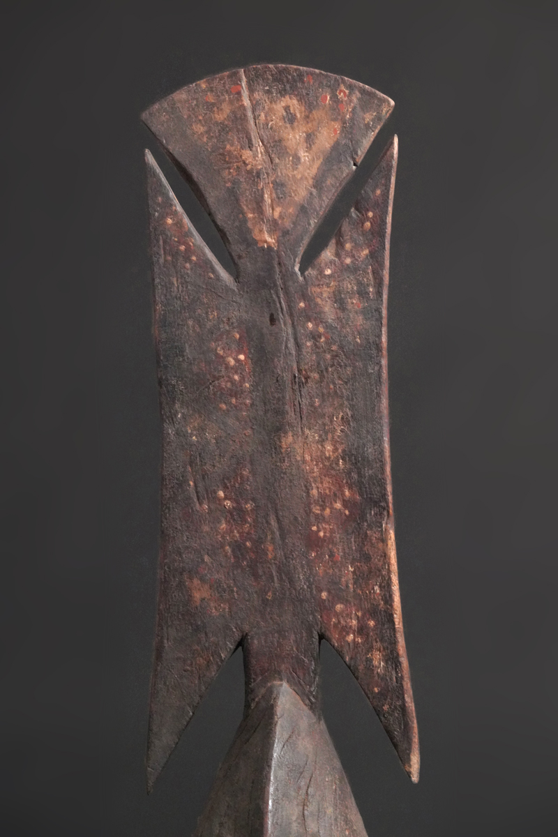 BBD008311