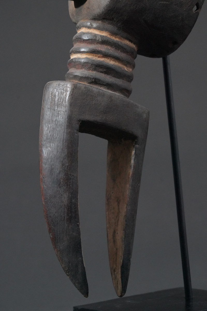 BBD013144