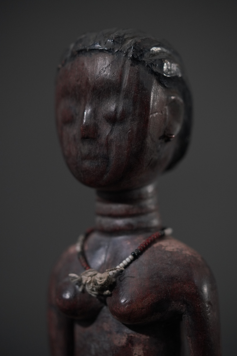 BBD013589