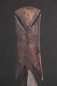 BBD008311