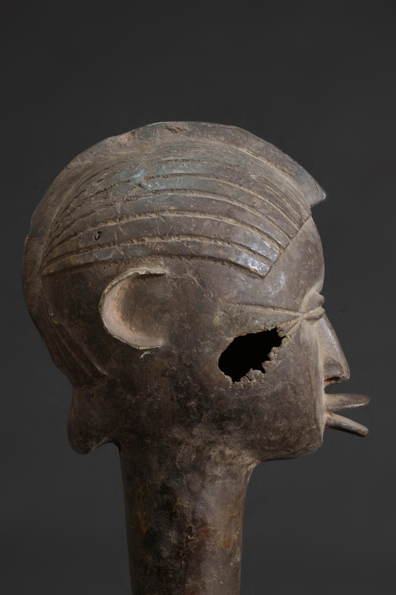 BBD016588