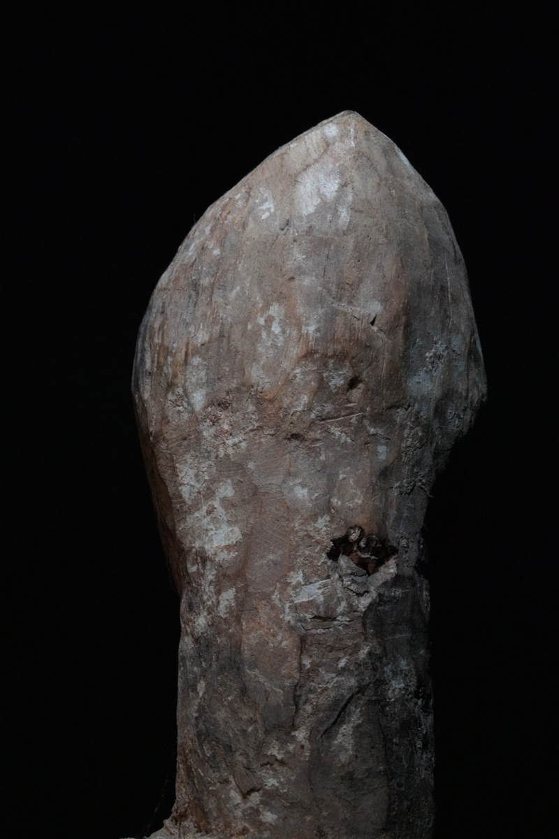 BBD017398