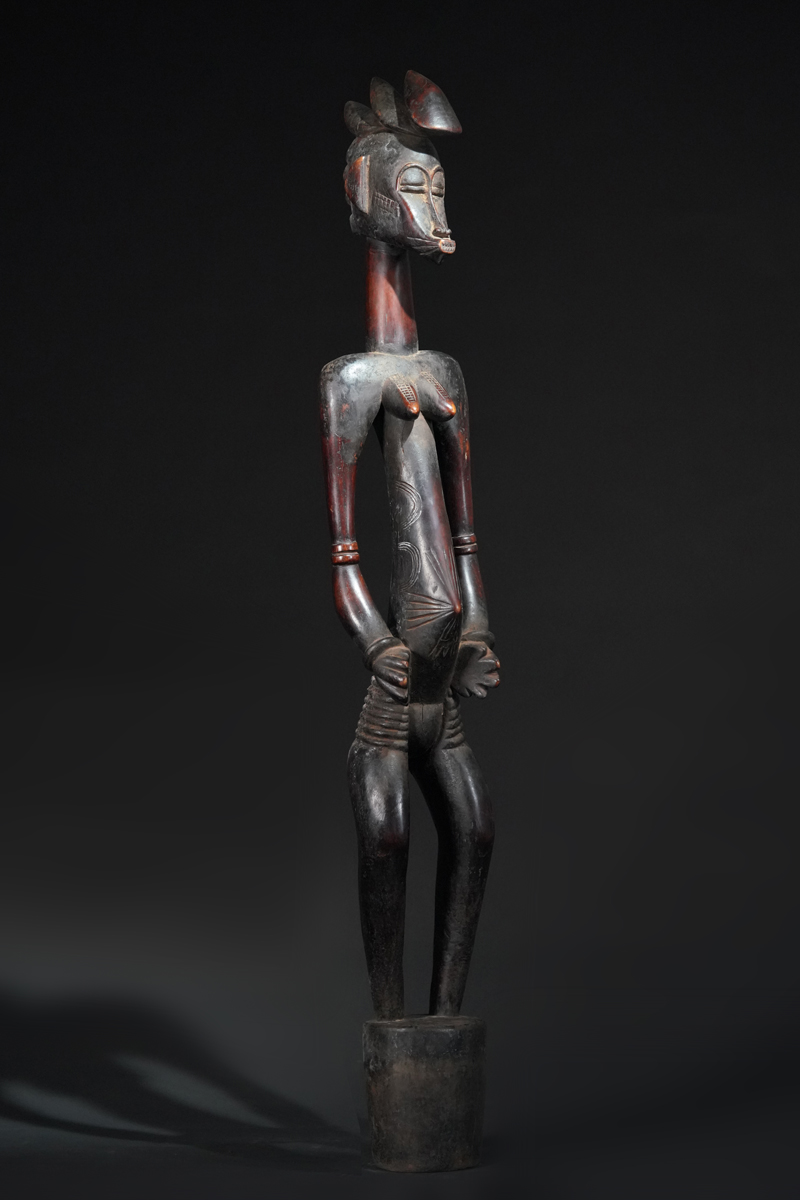 BBD017709