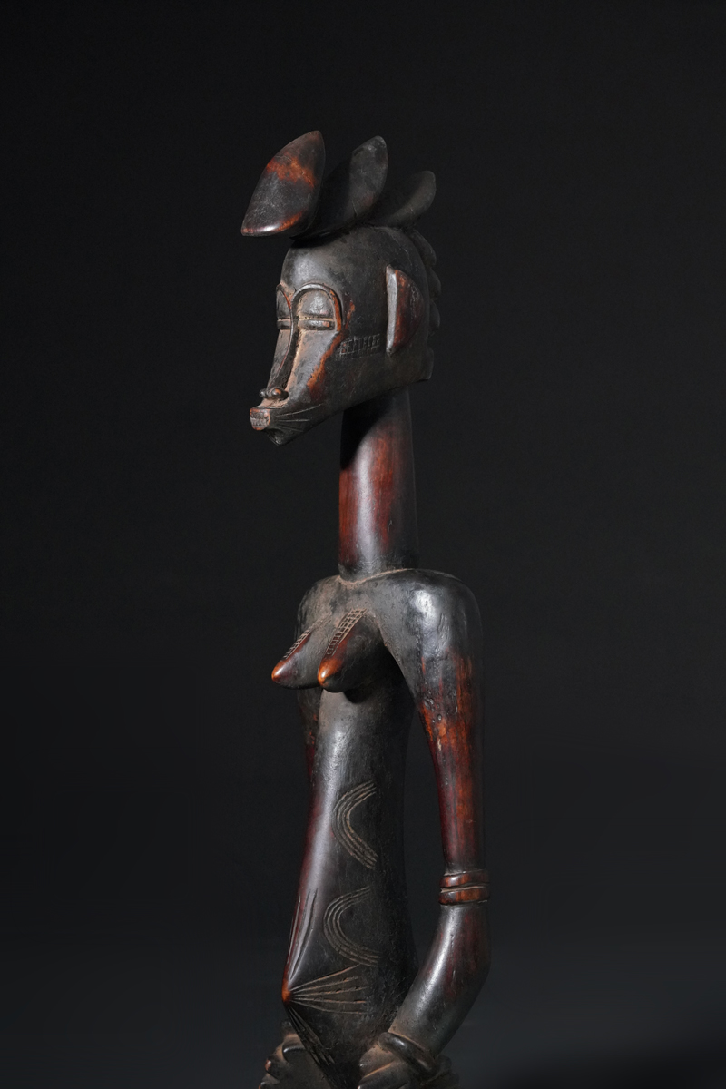 BBD017785