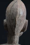 BBD016702