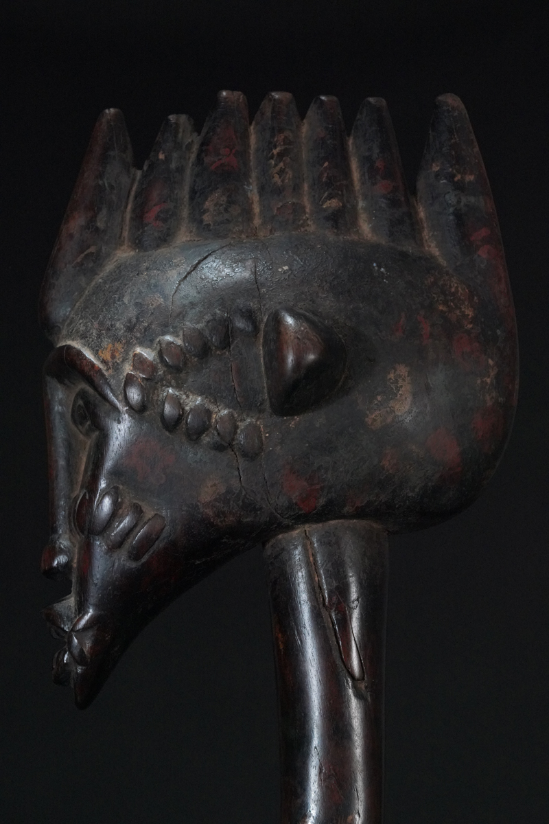 BBD019028
