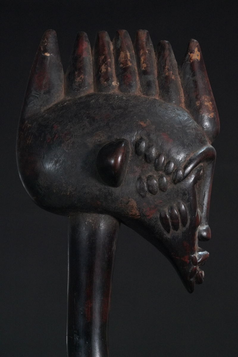 BBD019093