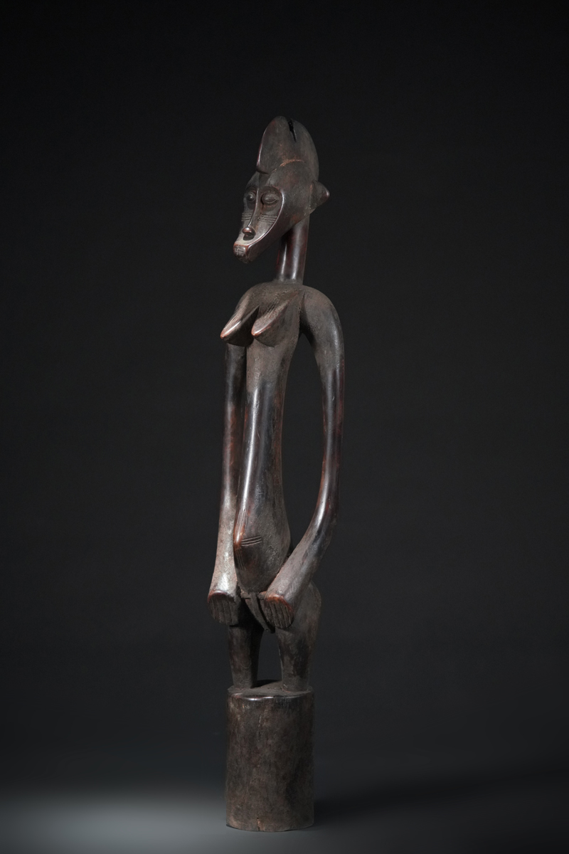 BBD019819