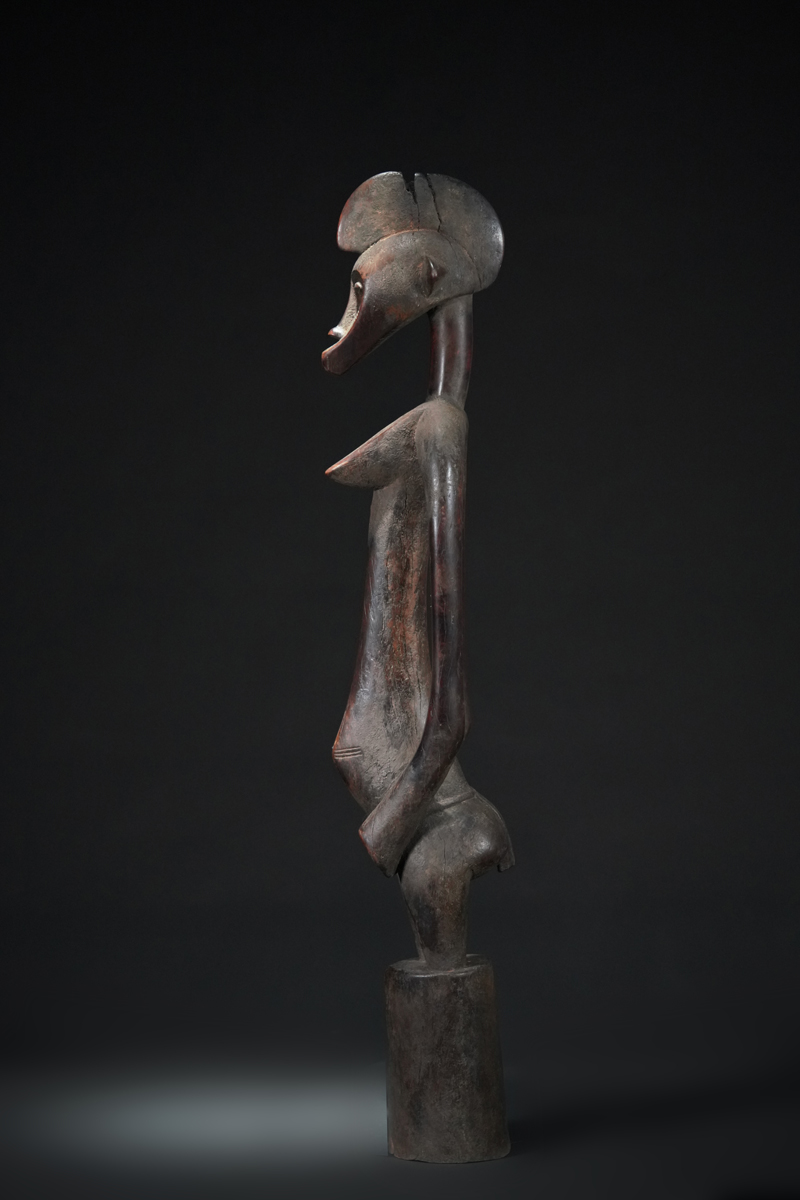 BBD019839