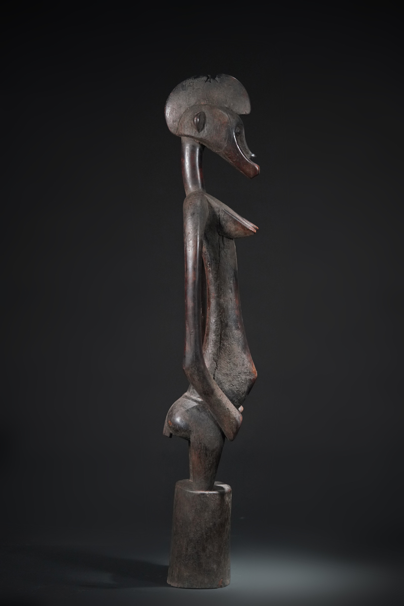BBD019904