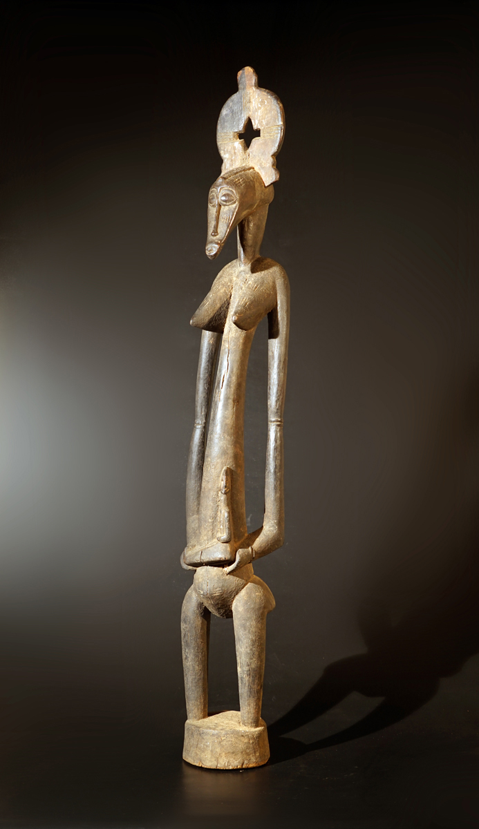FSB02657