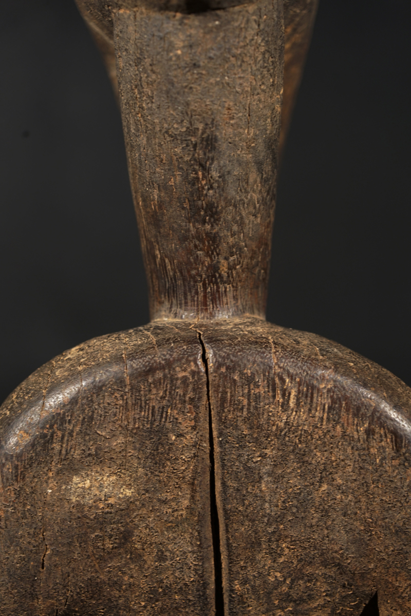 FSB02746
