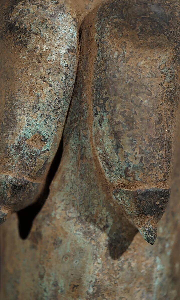 FXG01489