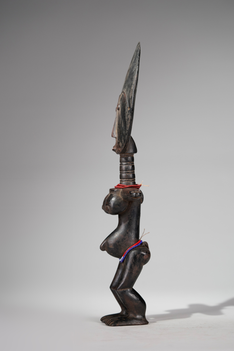 _XBD119544