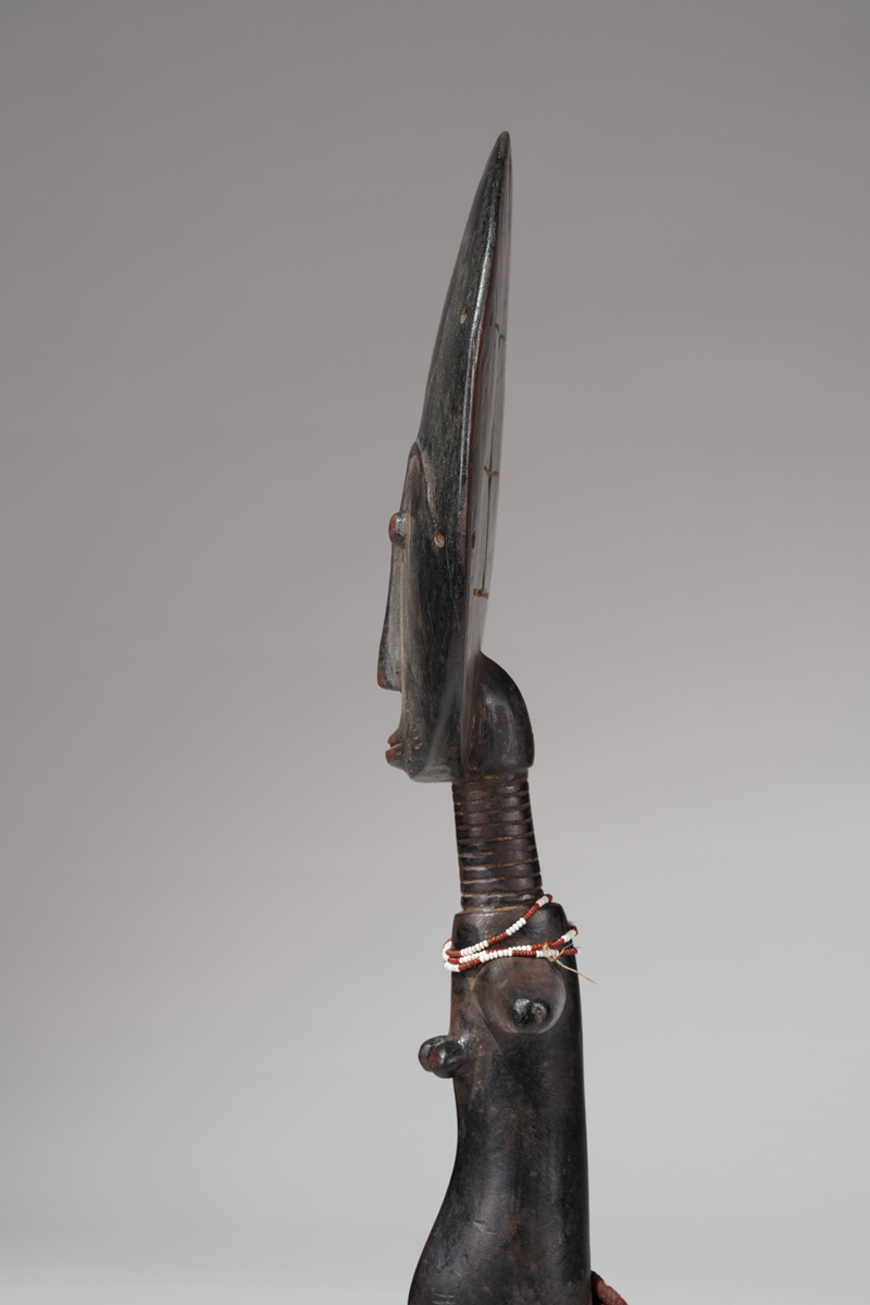 XBD121936