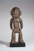 XBD143313