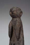 XBD146817