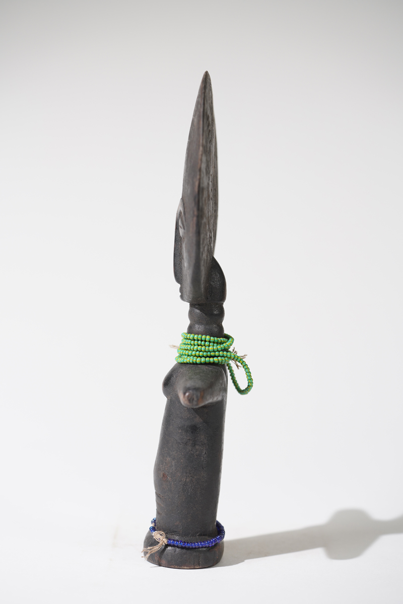 MAZ01779