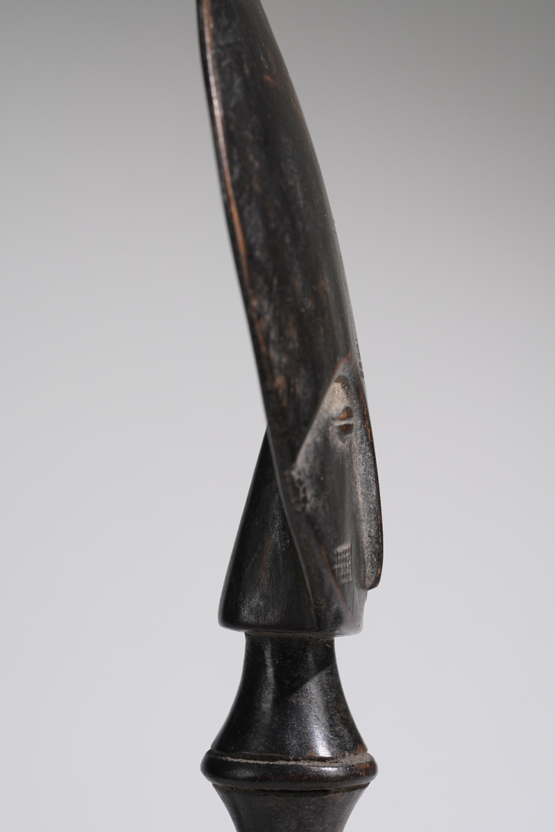 MAZ01854