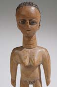 MAZ02202