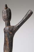 MAZ02848