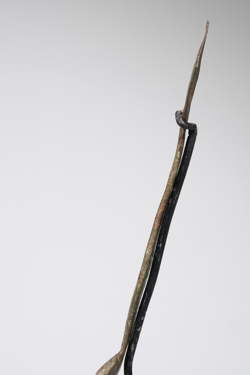 MAZ03336