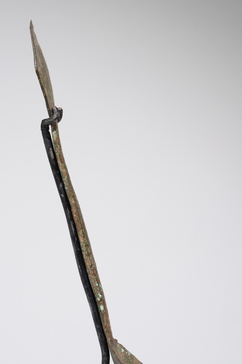 MAZ03338